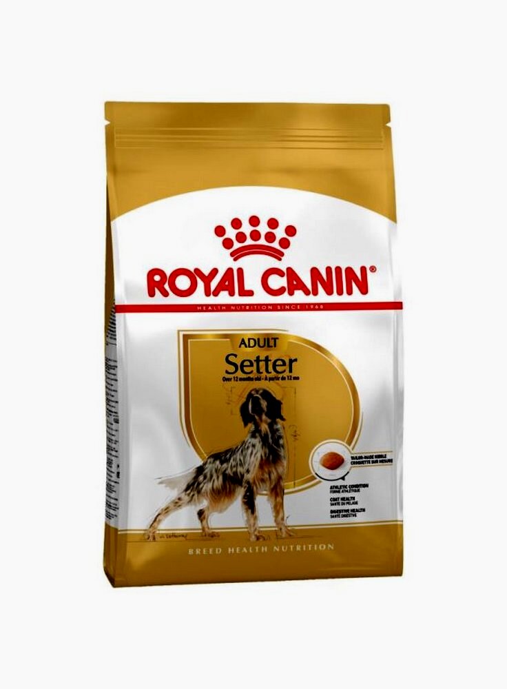 Royal canin clearance setter dog food